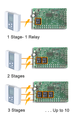 ten stages